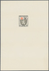 20648 Französische Zone - Allgemeine Ausgabe: 1945, 12 Pfg., 15 Pfg., 20 Pfg. Und 30 Pfg. Wappen Je Als Ho - Other & Unclassified