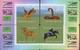 ZODIAC HOROSCOPE LUNAR CALENDAR MONKEY DOG PIG ROOSTER SET OF 12 PHONE CARDS - Zodiaque