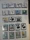 Delcampe - CHINE - Collection De Timbres Et Feuillets Neufs ** (MNH) - Années 1980 - Cote +/- 350 - Collections, Lots & Series