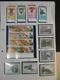 Delcampe - CHINE - Collection De Timbres Et Feuillets Neufs ** (MNH) - Années 1980 - Cote +/- 350 - Collections, Lots & Series