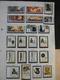 Delcampe - CHINE - Collection De Timbres Et Feuillets Neufs ** (MNH) - Années 1980 - Cote +/- 350 - Collections, Lots & Series