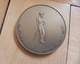 Medal - Penning Van Het Vereenigingsjaar 1938 Buziau - Autres & Non Classés