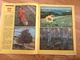 Magazine Nature 1982 Lithuania Animals Birds - Magazines