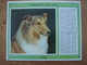 Almanach Des PTT 1970 Chien -Chat Dépt. Ille & Vilaine Format 21,5X28,5cm - Grand Format : 1961-70