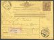 1889 Italy Parcelcard Roma Pacci Postali - Munchen Regensburg Germany - Stamped Stationery