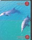 CHINA DOLPHIN 7 PUZZLE OF 14 PHONE CARDS - Delphine