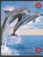 CHINA DOLPHIN 7 PUZZLE OF 14 PHONE CARDS - Delfines