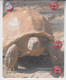 ISRAEL TURTLE 3 PUZZLES OF 6 PHONE CARDS - Tortues