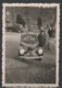 Delcampe - VOITURE - Photographie Réel - LOT DIVERS 17 VUES (1) - Auto's