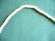 Jugendstil Elfenbeinkette, Im Größenverlauf Teilweise Geschnitzt (505) Preis Reduziert - Halsketten