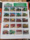 Delcampe - 3 CATALOGUES VEHICULES  *Equipement Agricole *Equipement De Construction *Camions & Trailers *Accessoires Etc... MEXIQUE - Lifestyle