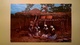 CARTOLINA POSTCARD VIAGGIATA 1967 MALAWI - PERUGIA AFFRANCATURA MOTIVI LOCALI 1964 - Malawi