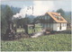 Dampflokomotive 671 Mit WOHNUNG Auf Wagen - Treinen