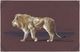 29552 Südwestafrika: 1938/1984, Mainly From 1961, Comprehensive Collection In Ten Binders, Comprising U/m - Südwestafrika (1923-1990)