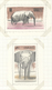 Delcampe - 29552 Südwestafrika: 1938/1984, Mainly From 1961, Comprehensive Collection In Ten Binders, Comprising U/m - Südwestafrika (1923-1990)