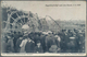 29620 Thematik: Flugzeuge, Luftfahrt / Airoplanes, Aviation: 1900's-1930's Ca.: Collection Of 50 Picture P - Flugzeuge