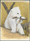 Delcampe - 29655 Thematik: Tiere-Bären / Animals-bears: 2007, Azerbaydjan. Very Nice Lot, Featuring "KNUT - THE FAMOU - Ours