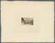 29657 Thematik: Tiere-Fische / Animals-fishes: 1949, French Morocco. Lot Of 10 Epreuves D'artiste Signée F - Vissen