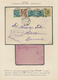 29676 Estland: 1918/1920, Specialised Collection Of Early Issues, Neatly Arranged On Written Up Pages, Com - Estland