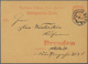 Delcampe - 30028 Deutsches Reich - Privatpost (Stadtpost): 1886/1900, DRESDEN HANSA, Gehaltvolle Sammlung Mit Ca.150 - Private & Lokale Post