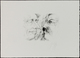 30164 Varia (im Briefmarkenkatalog): GÜNTER GRASS, ORIGINAL-LITHOGRAPHIEN, 100 Blätter Original-Lithograph - Andere & Zonder Classificatie