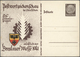 Delcampe - 31797 Deutsches Reich - Privatganzsachen: 1933/1942, Sehr Umfangreiche, Ungebrauchte Und Gebrauchte (bzw. - Sonstige & Ohne Zuordnung
