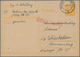 Delcampe - 32136 Deutschland Nach 1945: 1945/46, Interssanter Posten Ungebrauchter Und Gebrauchter Ganzsachenkarten, - Sammlungen