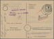 Delcampe - 32180 Alliierte Besetzung - Gebühr Bezahlt: 1945/46, Schöner Posten Von 24 Meist Ehemaligen Einzellosen Da - Sonstige & Ohne Zuordnung