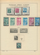 32567 Französische Zone: 1945/1949, Sauber Gestempelte Sammlung Auf Altem Schaubek-Vordruck Ab Allg. Ausga - Andere & Zonder Classificatie