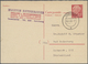 Delcampe - 32843 Bundesrepublik - Ganzsachen: 1948/1961. Mit Bizone. Sammlung Von 23 Postkarten Und LP-Faltbriefe. Da - Sonstige & Ohne Zuordnung