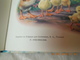 Casterman, COLLECTION FARANDOLE PICOLO LE POUSSIN CURIEUX..RARE - Casterman