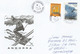 Ski Et Paysage Polaire, Belle Lettre Andorra, Adressée En Catalogne - Covers & Documents