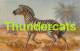 CPA ILLUSTRATEUR E B  ARTIST SIGNED ZEBRE ZEBRA - Zebre