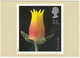 Echeveria - Flowers  (31p Stamp) -  1987 - (U.K.) - Postzegels (afbeeldingen)