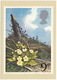 Primroses  - British Flowers  (9p Stamp) -  1979 - (U.K.) - Postzegels (afbeeldingen)