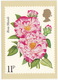 'Rosa Mundi' - Rose  (11p Stamp) -  1979 - (U.K.) - Timbres (représentations)