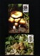 Belarus 1999 Mushrooms Maximumcards - Pilze