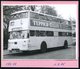 Delcampe - 1972/75 BERLIN, 9 Verschiedene S/ W.-Fotos Der BVG (West) Doppeldecker-Omnibusse (meist Format 7 X 10,5 Cm) Mit Möbel- U - Other & Unclassified