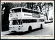 1972/75 BERLIN, 10 Verschiedene S/ W.-Fotos Der BVG (West) Doppeldecker-Omnibusse (meist Format 7 X 10,5 Cm) Mit Getränk - Andere & Zonder Classificatie