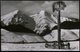 1951 TSCHECHOSLOWAKEI, 1.50 Kc. Bild-Ganzsache Gottwald: Hohe Tatra Im Winter Mit Kruzifix, Ungebr. (Pofis CPH.8/03) - C - Other & Unclassified