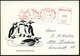 1981 (23.8.) 1136 BERLIN, Absender-Freistempel: TIERPARK BERLIN (3 Pinguine) Auf Motiv-ähnl. Sonderkarte: PINGUIN-ANLAGE - Other & Unclassified