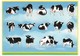 Vaches (2 Scans) - Vaches