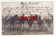 Carte Photo Militaire Allemand STUKENBROCK-SENNE-Schloss Holte-Stukenbrock-Detmold-Paderborn-Cavalier-Chevaux-Camp-Läger - Detmold