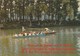 Sports : Joutes : Tournoi De Joutes Sur Le Rhone - Rowing