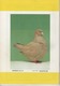 SELECTIONS AVICOLES AVICULTURE COLOMBICULTURE CUNICULTURE OCTOBRE 1988 N° 273 - Animals