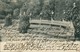 Ansichtskarte Babelsberg-Potsdam Generalsbank Im Park 1904 - Potsdam