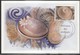 POLYNESIE FRANCAISE - CARTE MAXIMUM De 2004 N° 713 à 716 - Maximumkarten
