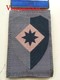 Landmacht GVT Embleem 1e Leg-Korps - Vlag Nederland  - See The 2 Scans For Condition. ( Originalscan !!! ) - Scudetti In Tela