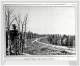 Press Photo - Russia - The Great Siberian Railroad In 1903 - In The Taiga Or Forest Country - Lieux