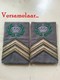 Sergeant-Majoor Met Companie Teken GVT (gevechtstenue)- See The 2 Scans For Condition. ( Originalscan !!! ) - Other & Unclassified